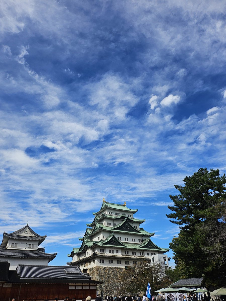 初めて来た名古屋城