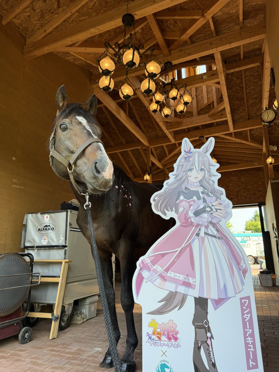 くまごろうページ くまごろう (@Kuma_Gorou_9056) / Posts / X