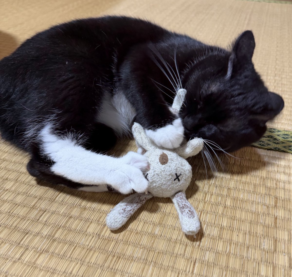 めぐ美ページ めぐみ♂ on X