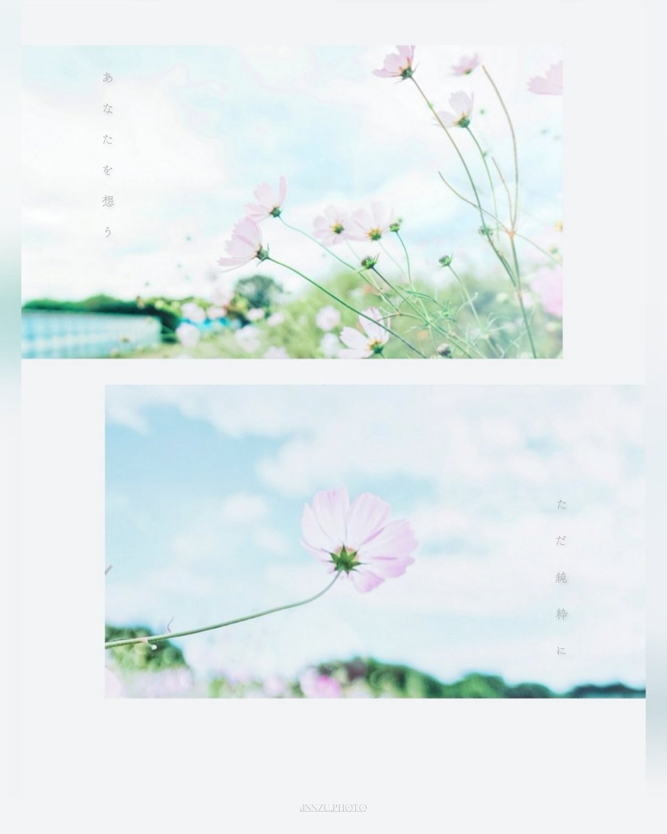 ♡あんず◡̈*♡ あんず☂︎*̣̩⋆̩* (@pudding_love26) / Posts / X