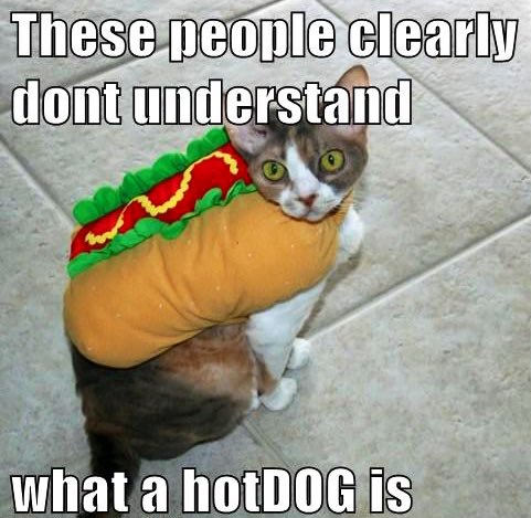 #MyHalloweinerWants to talk to someone who knows the difference between cats and dogs (and someone who will help them get out of this stupid costume)