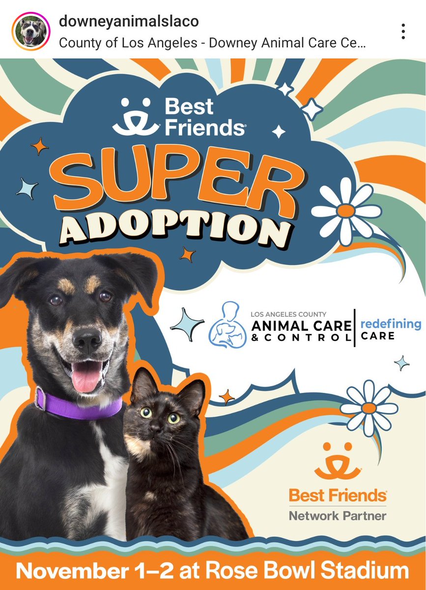 Maple 🐕 🎹 🎸 💙 tweet media