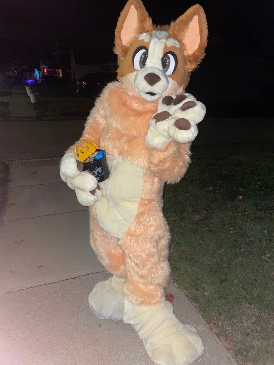 Bingo Heeler Fursuit 🧡✨ tweet media