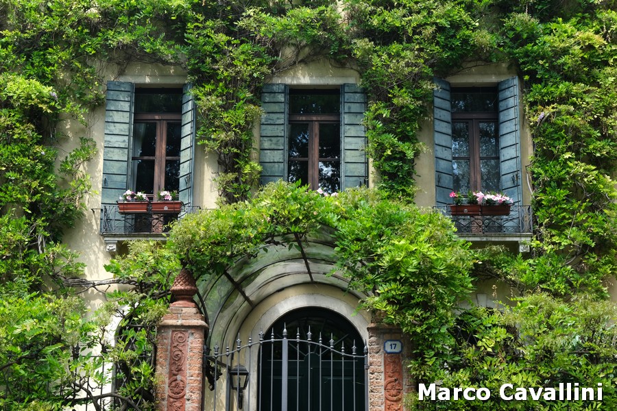 Finestre nel verde 
marcaval.blogspot.com/2025/11/finest…