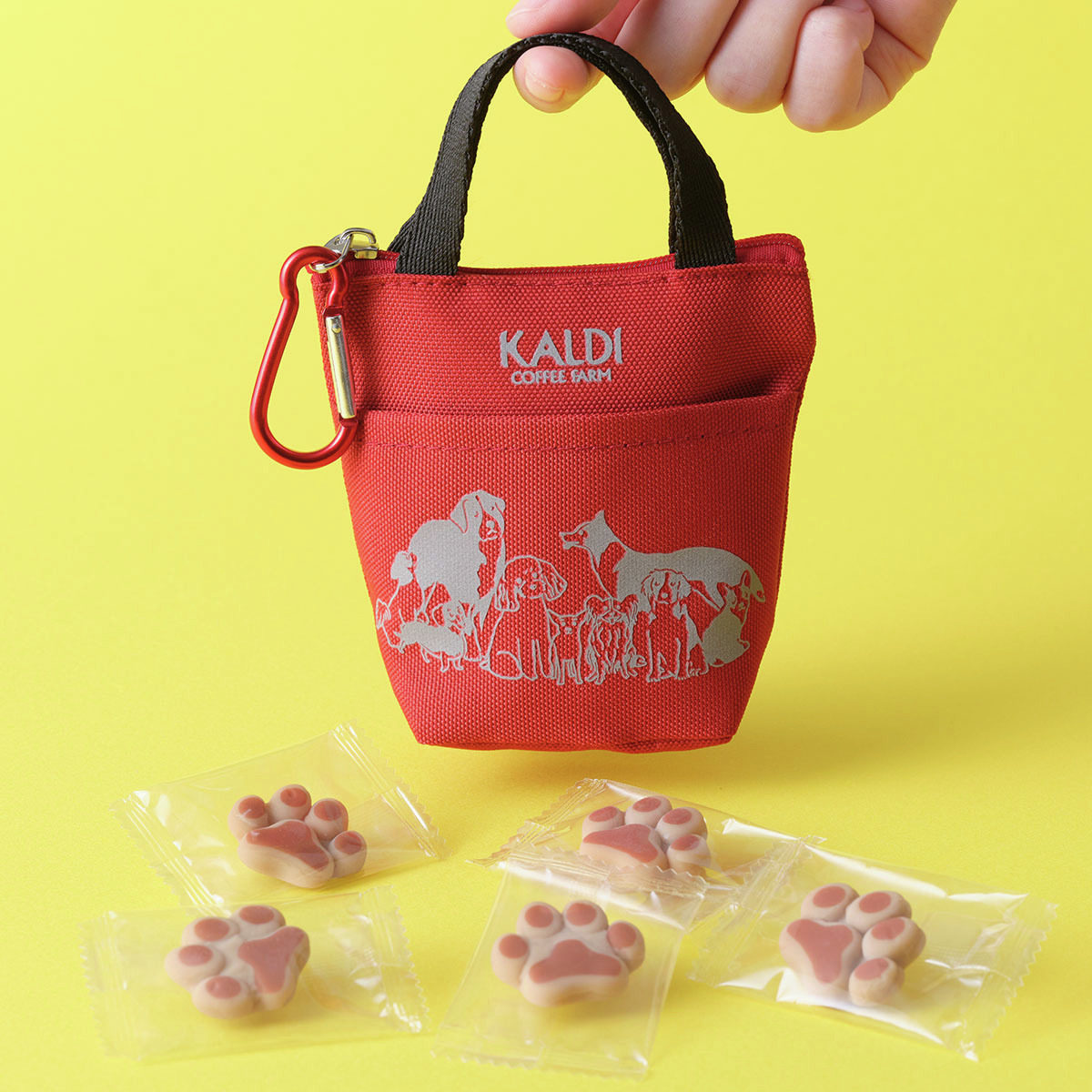 ハチコ (@metamon526) / Posts / X