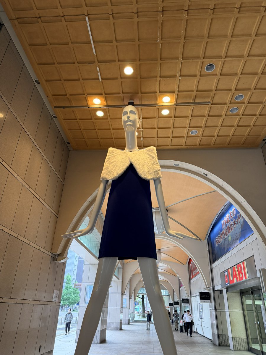 ✨ナナちゃん✨ ばるでぃっしゅ on X