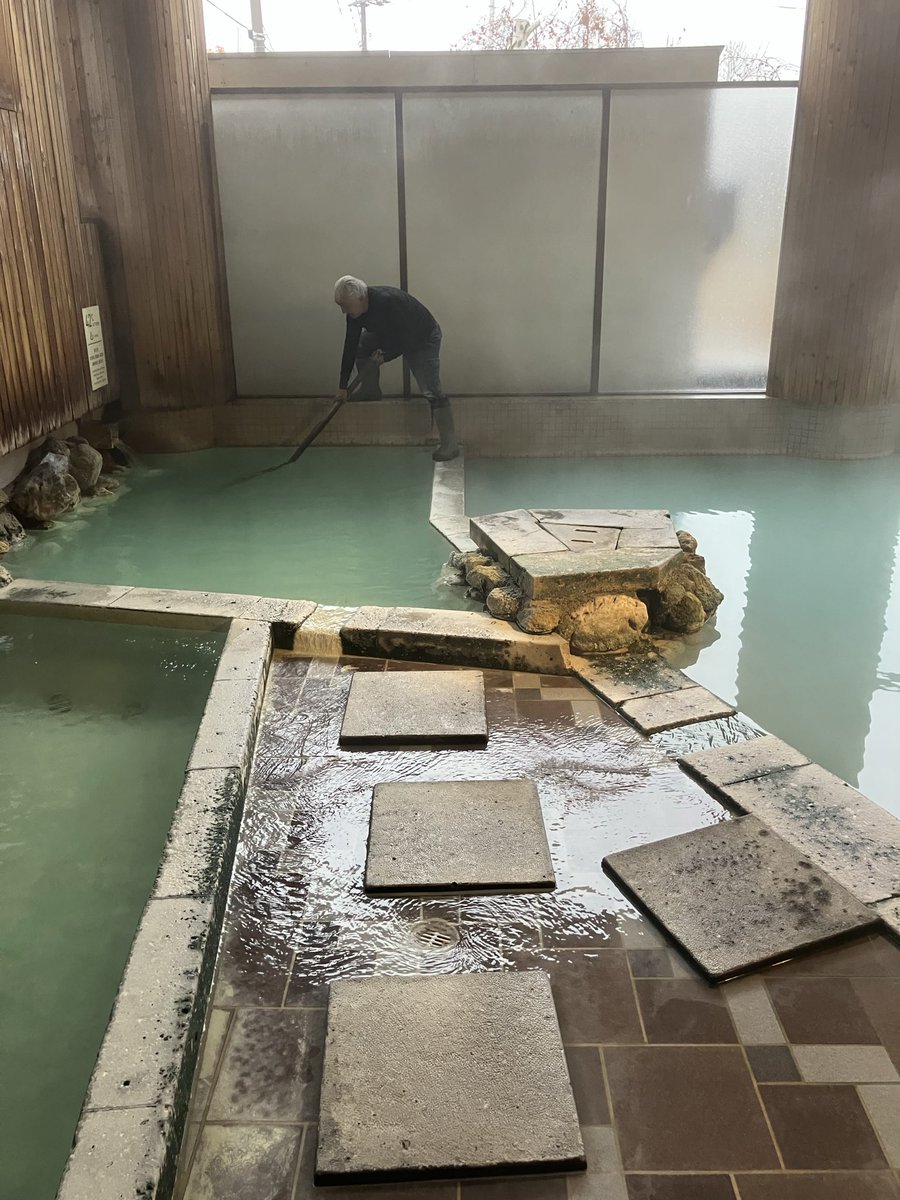 けんせー（趣味活動休眠中） (@kenaceae) / Posts / X