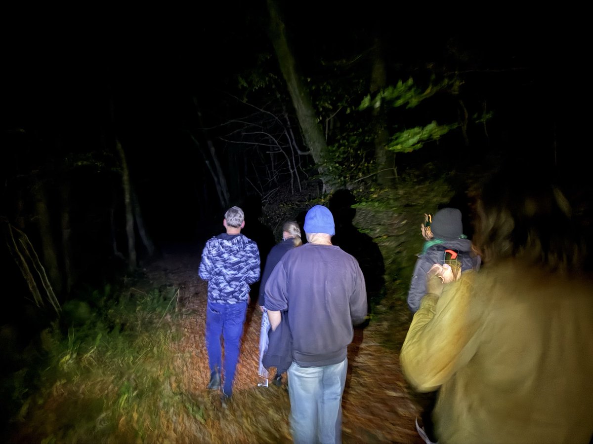 Darkling Room / Jonathan 📱 tweet media