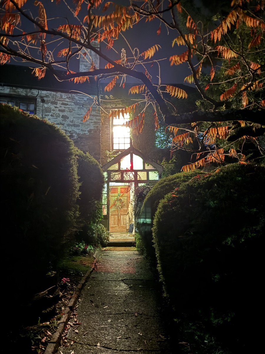 Darkling Room / Jonathan 📱 tweet media