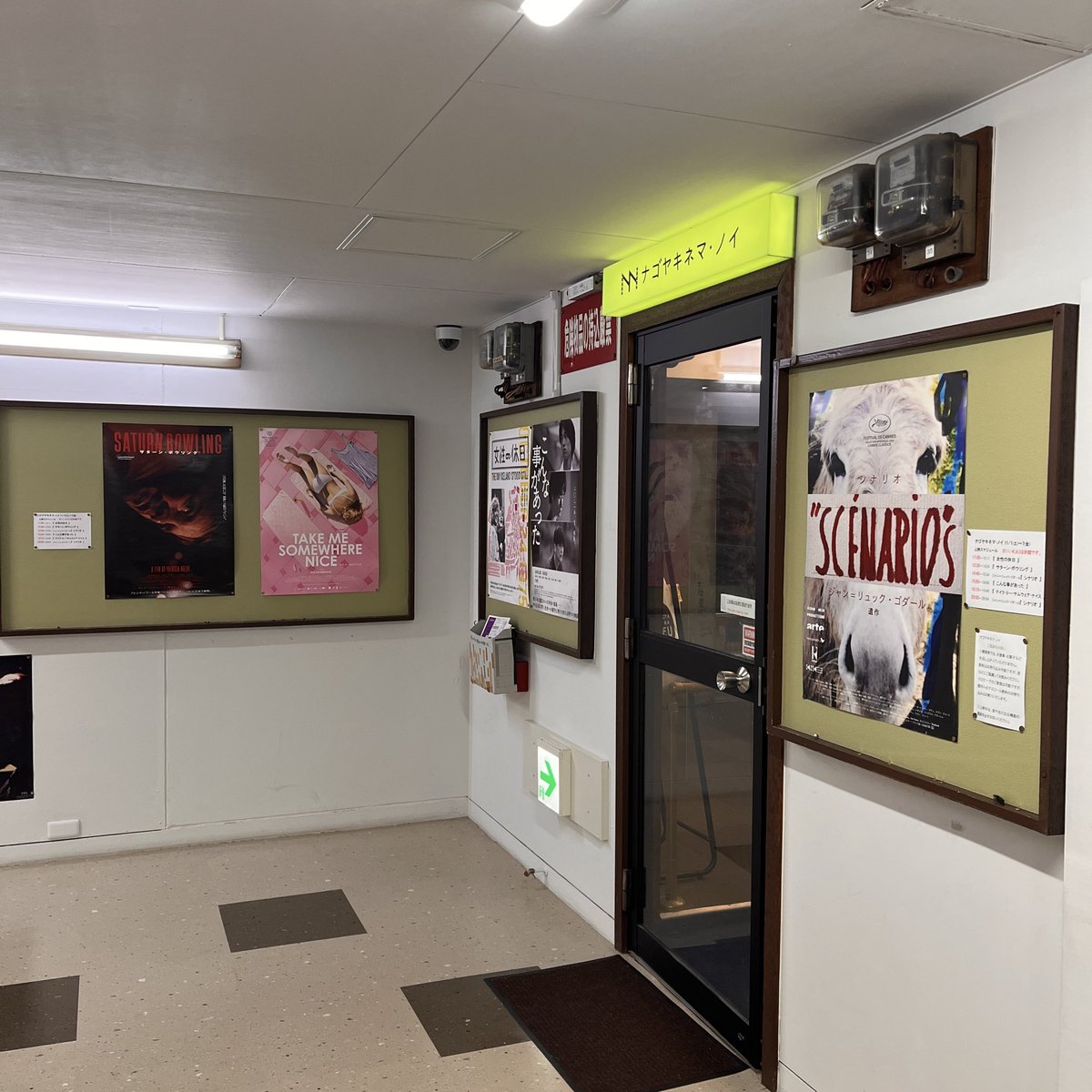 しめじ (@shimeji482) / Posts / X