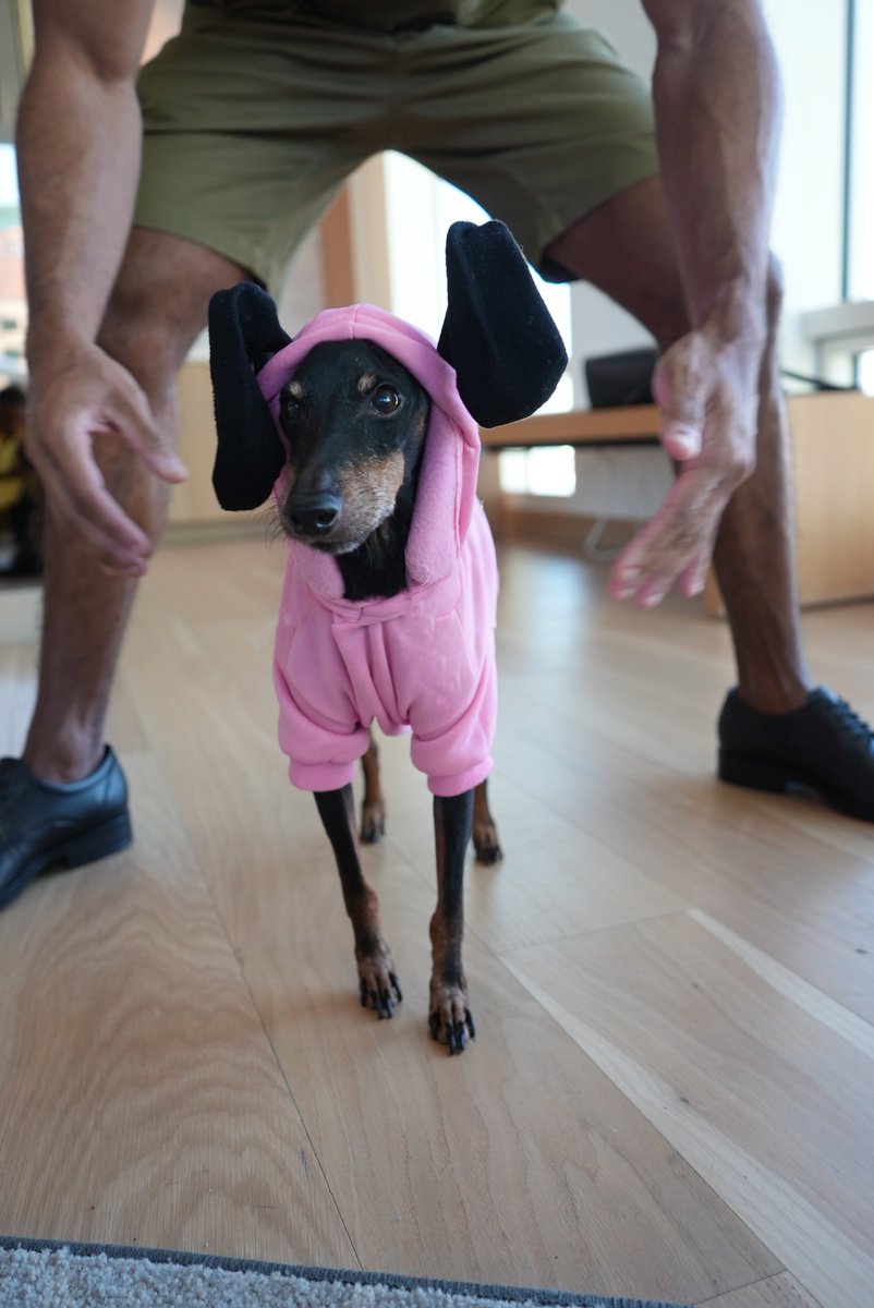 the things we do for love 🐾 

happy halloween everyone!