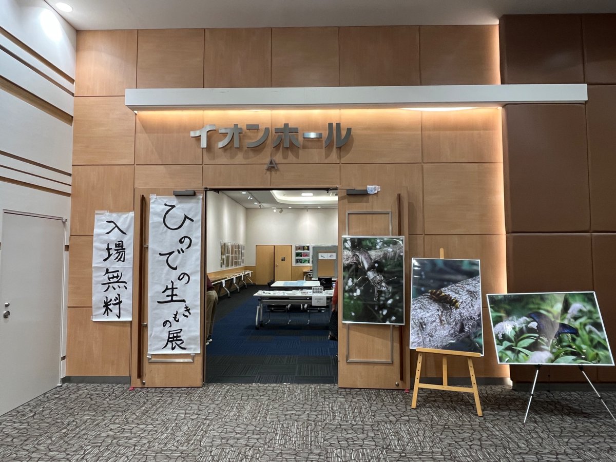 日の出生き物展開催です‼︎