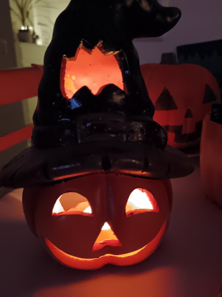 🌸 Daalia 🌸 tweet media