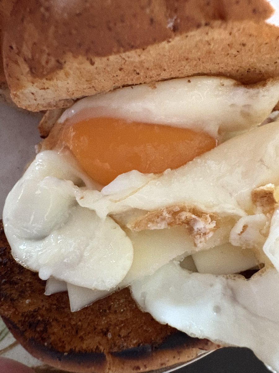 's tweet image. おそようございます♪朝風呂からのパンモーニング北海道日高産ハチミツ添えを食す11/1です。皆さんの定番朝食はなんですか。
#コロム
#パン派
#和食派
#朝ご飯
#沖縄
#秋晴れ