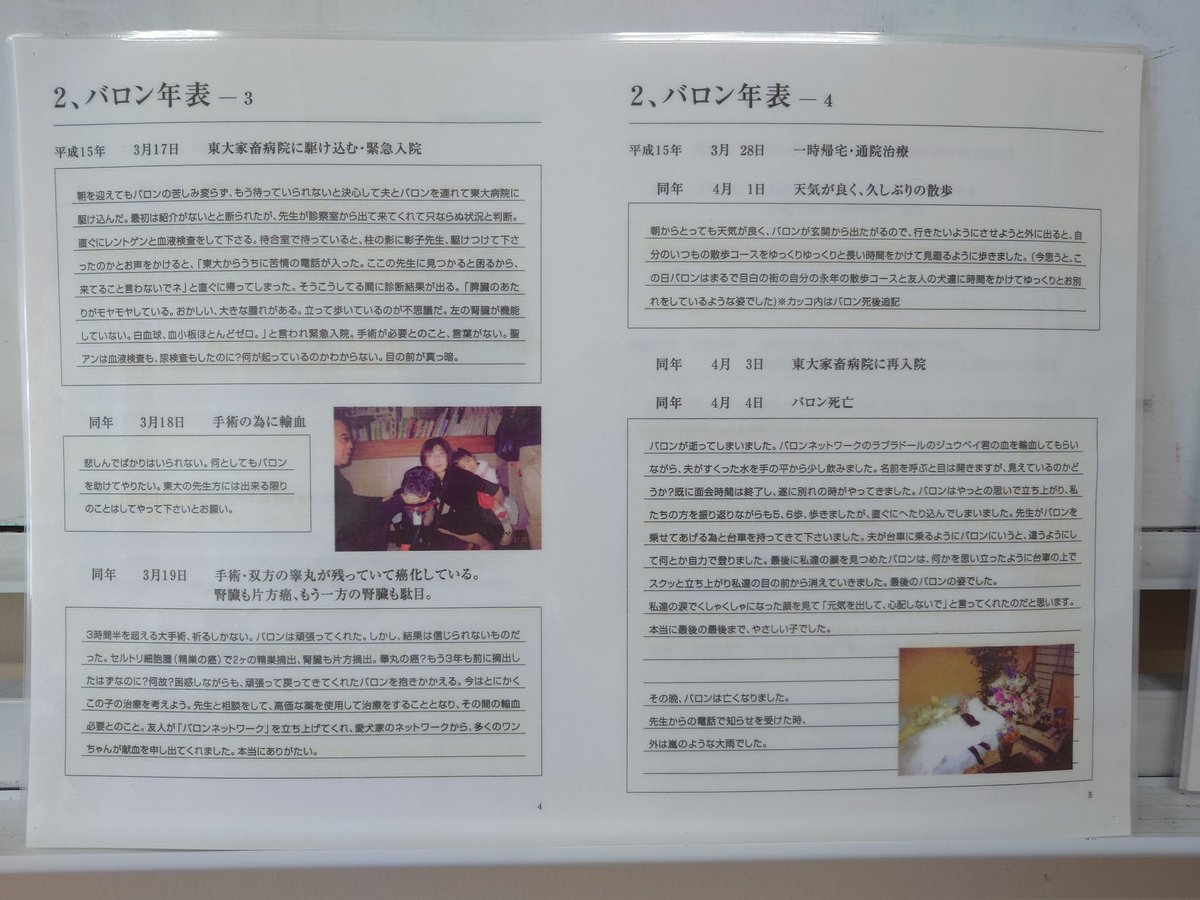舞台BARON tweet media