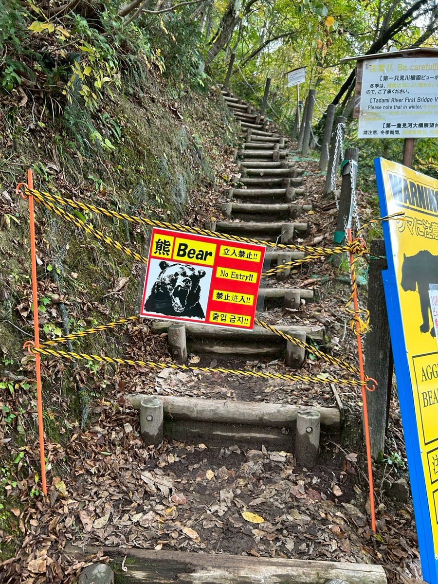 つんつくつん 09-12 Kawasaki Ninja ZX6R Crankshaft Crank Shaft - Sun Coast