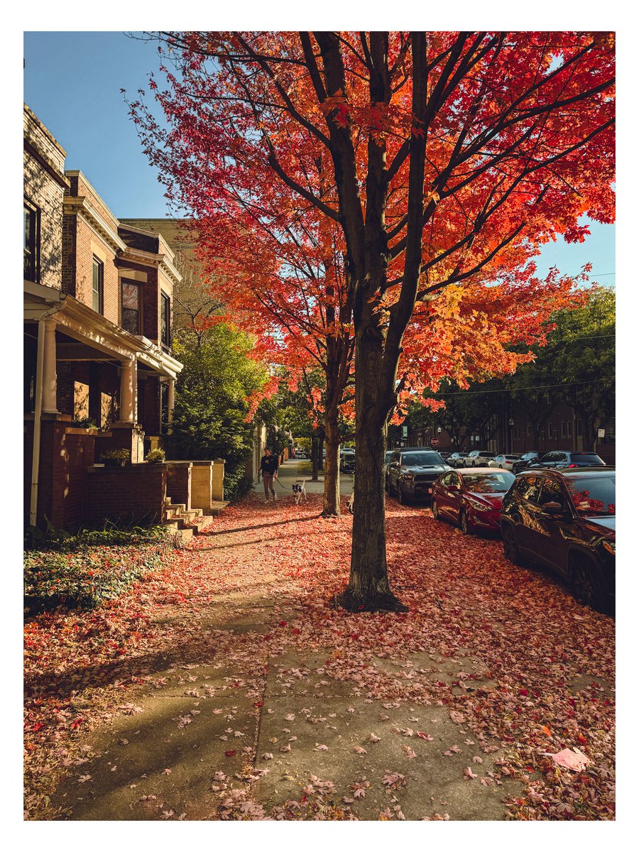 Eric Petersen ⛳️ tweet media