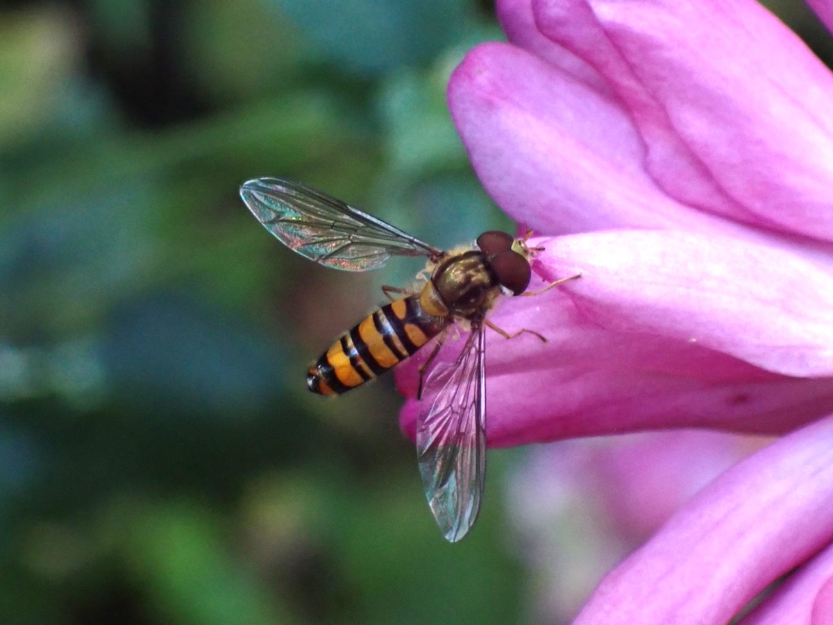 zoe (@Czoe41315833) / Posts / X