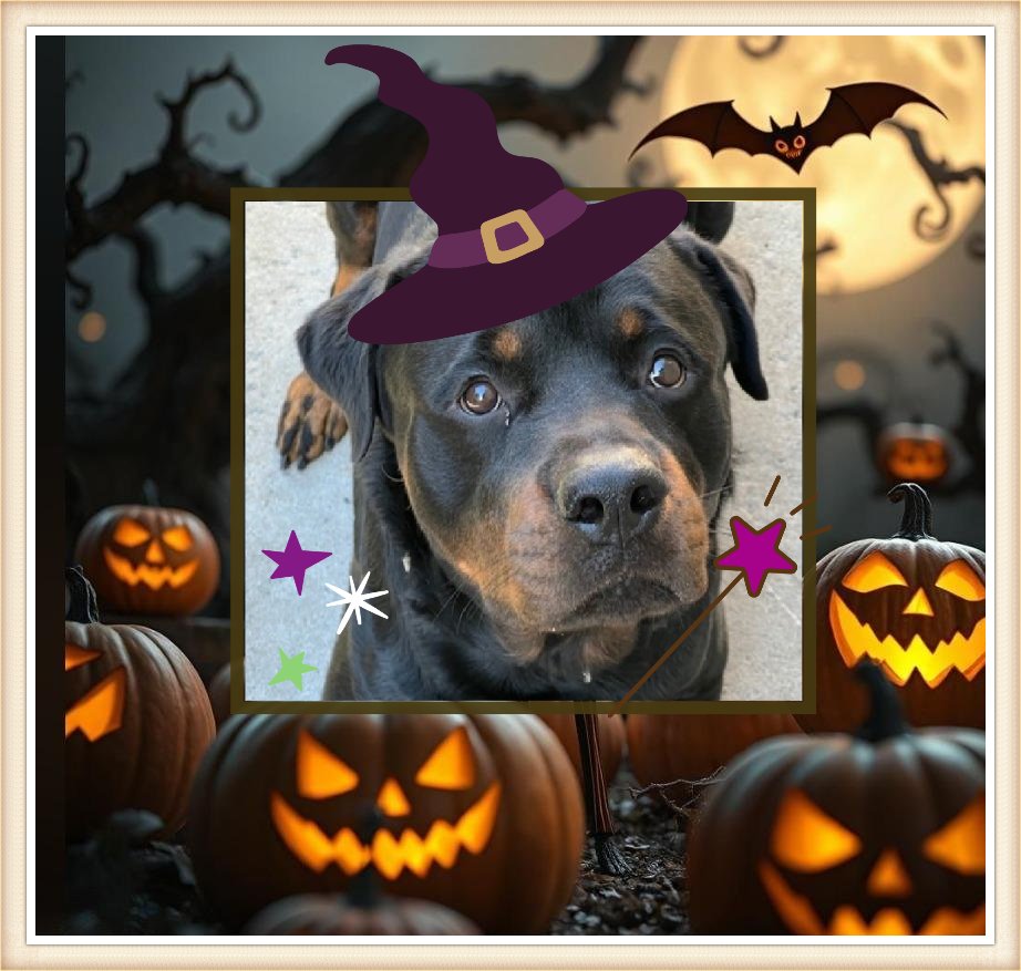 Not the Same tweet media