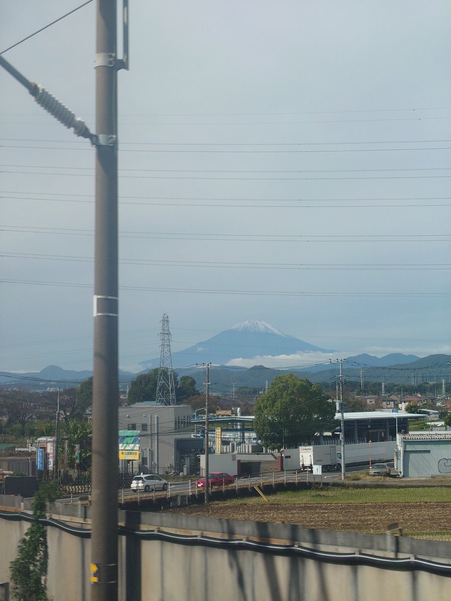 ＴＳＲグッチ tweet media