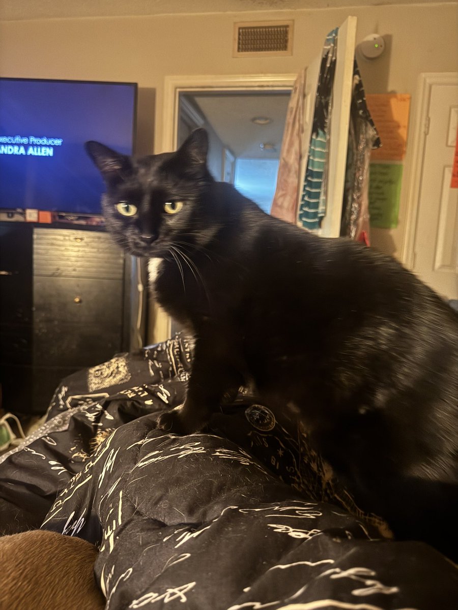 JokerzHarley tweet media