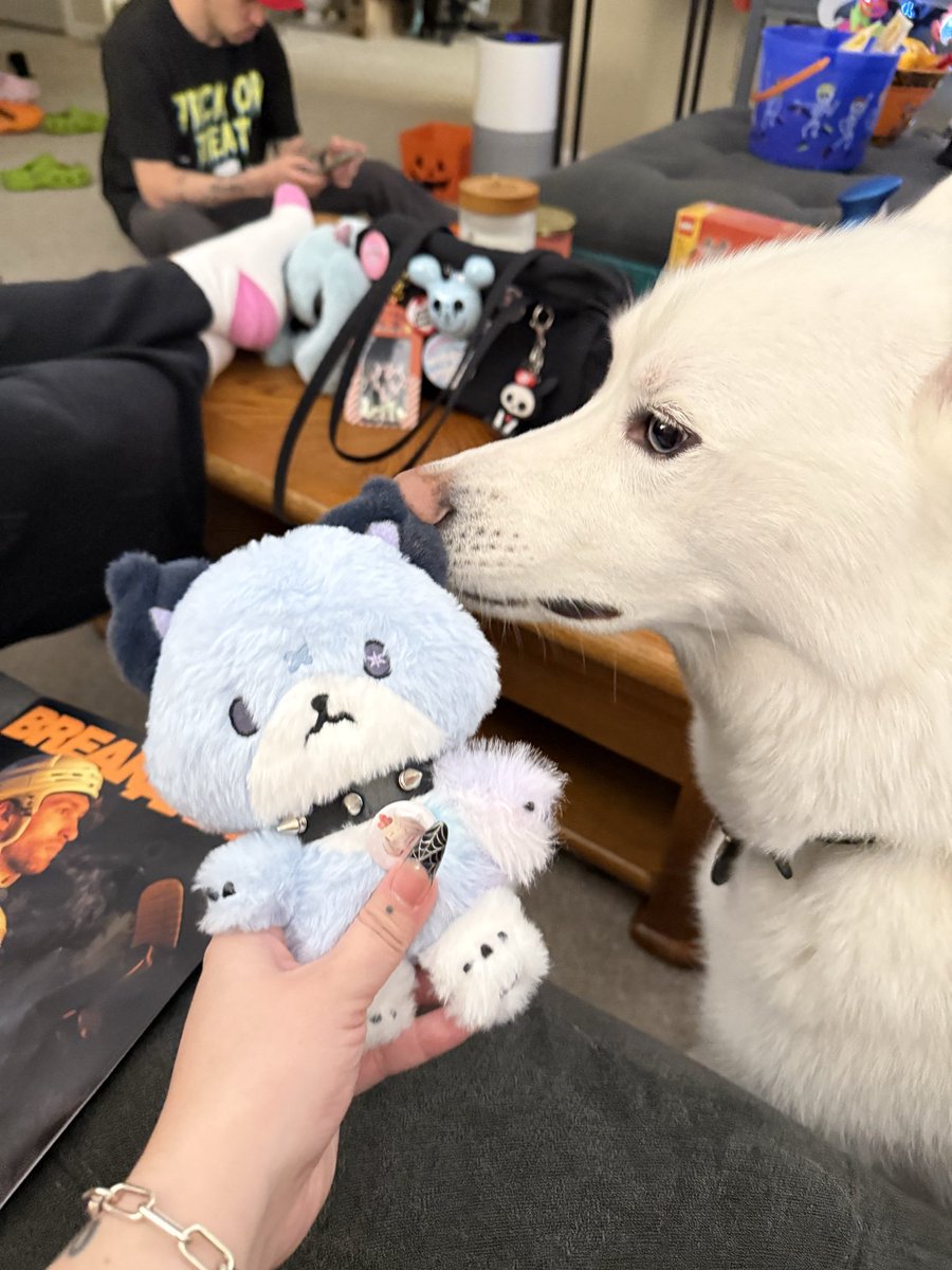 my doggy with jjuf :)