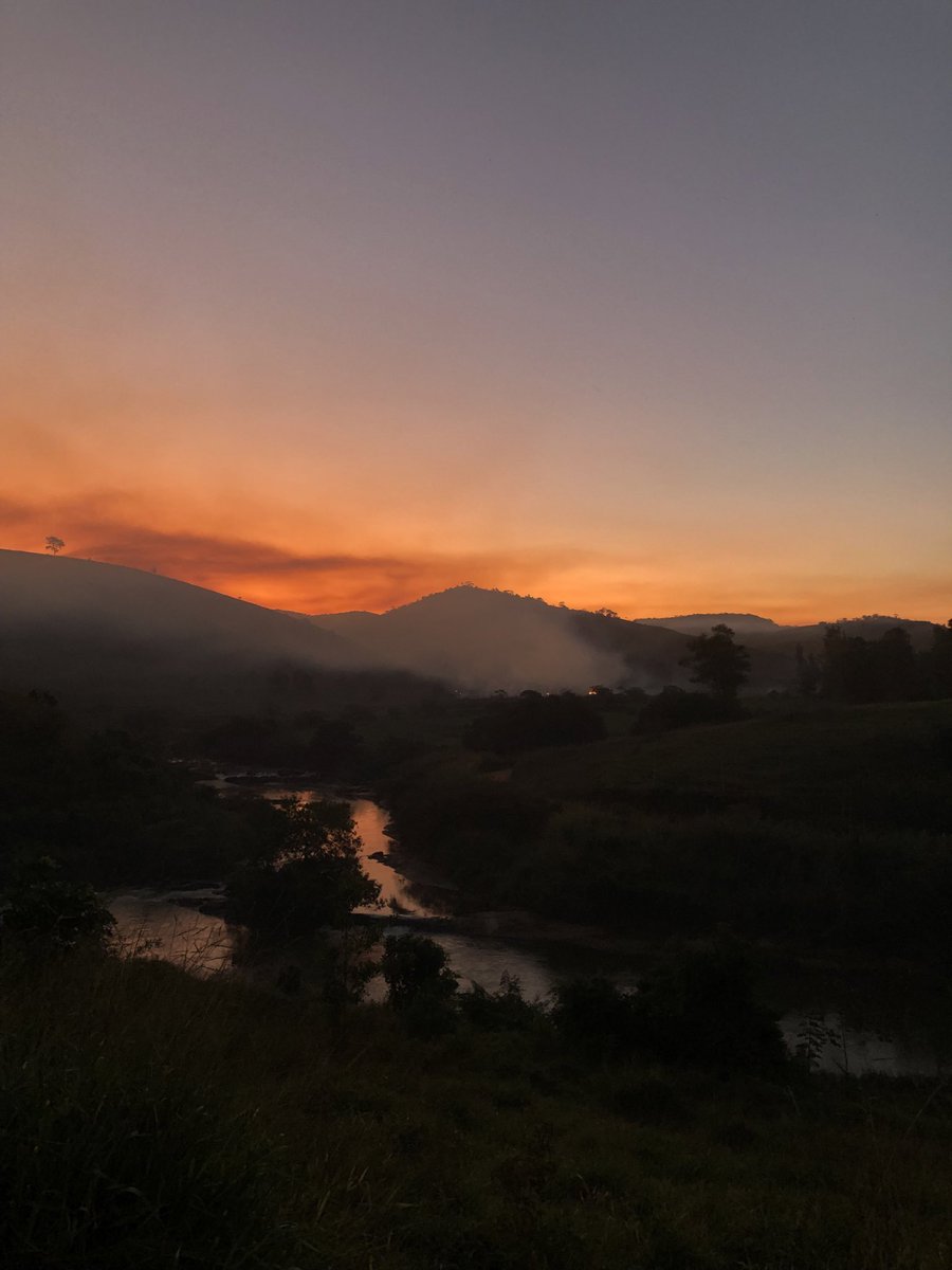 ConsistencyCode's tweet image. Health is getting back to nature. When the sun rises and sets, for 30 minutes is the only time you can actually stare directly at it. Sungazing is so powerful. It’s criminal it’s not taught in schools.