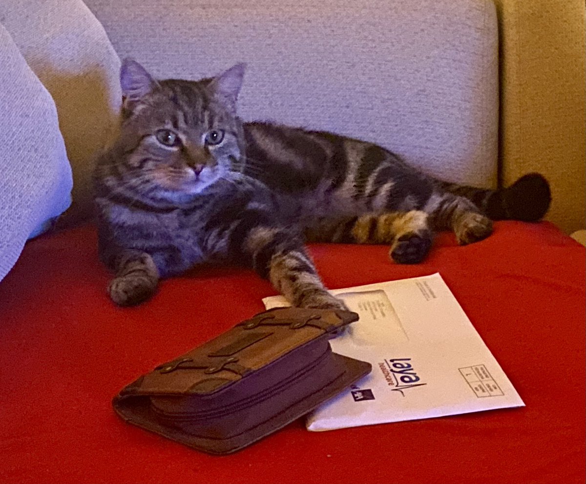 Killian Fitzpatrick tweet media