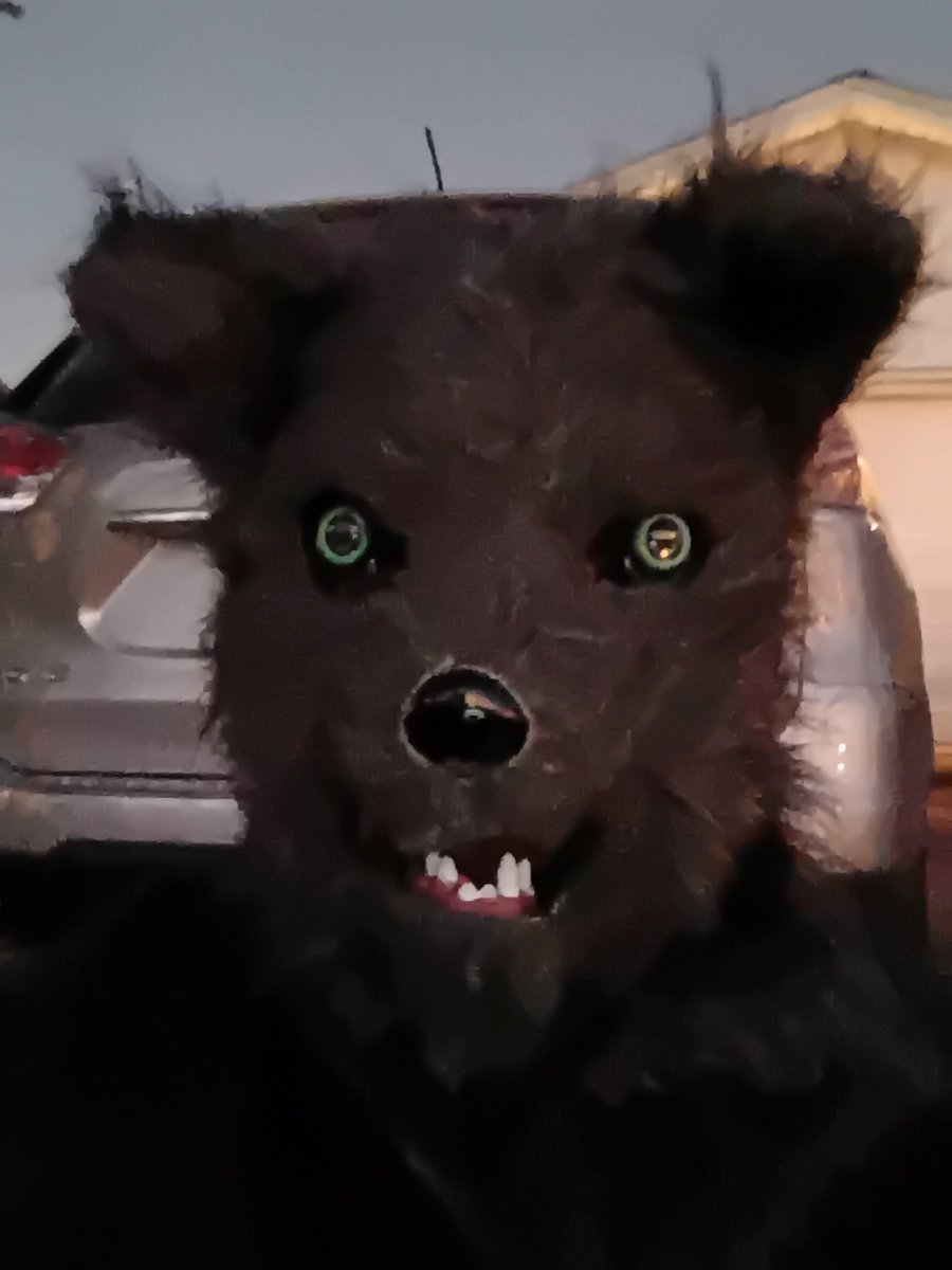 MissLisaLadybug's tweet photo. My Halloween  costume... My cat was terrified https://t.co/RgfFKdg7Y3