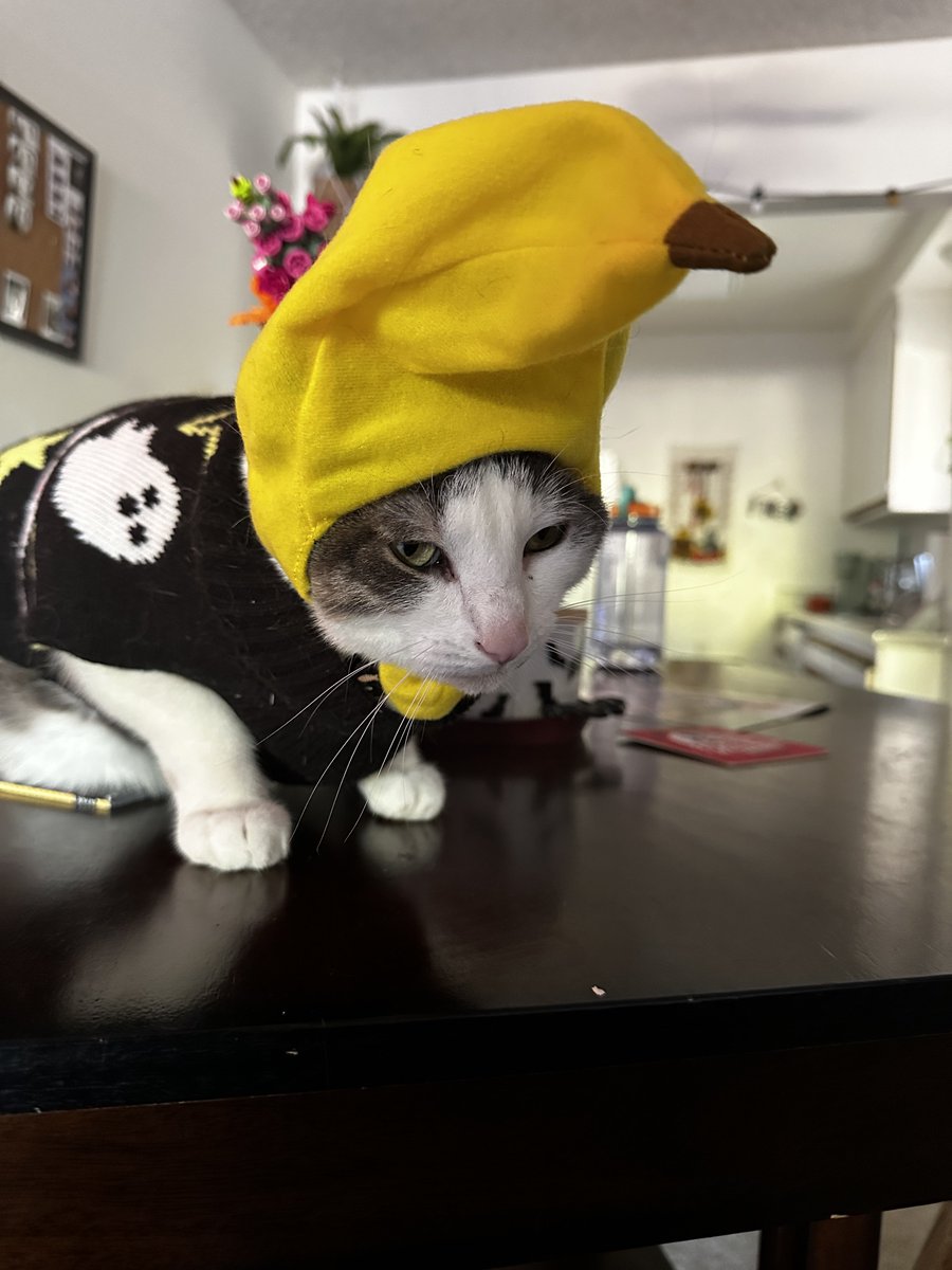 cerealandyogurt's tweet photo. some other cute halloween pics https://t.co/g7rfpAV36R