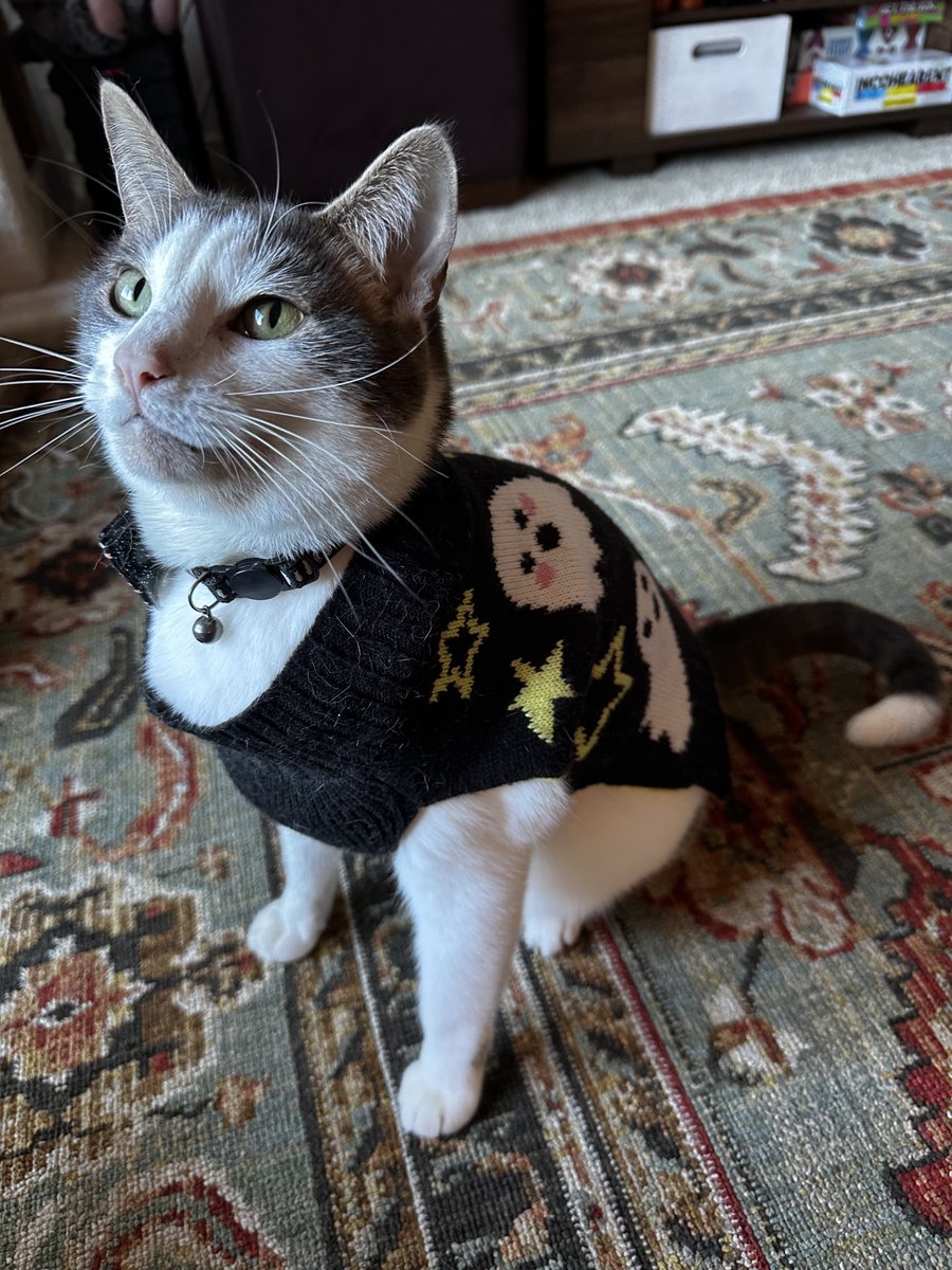 cerealandyogurt's tweet photo. some other cute halloween pics https://t.co/g7rfpAV36R