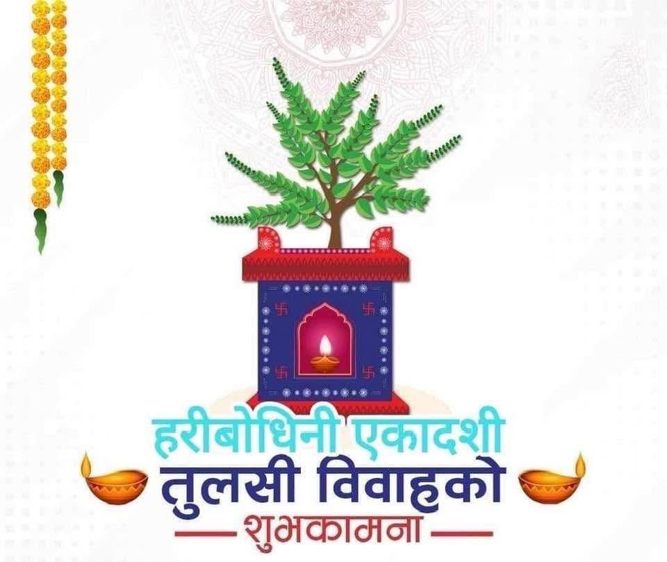 dr4955's tweet photo. कृष्णाय वासुदेवाय हरये परमात्मने । 
प्रणतः क्लेशनाशाय गोविंदाय नमो नमः ।।
हरिबोधिनी एकादशी ब्रत(तुलसी विवाह गर्ने दिन) को हार्दिक शुभकामना! 🙏🙏 https://t.co/hWmT01x7Gx