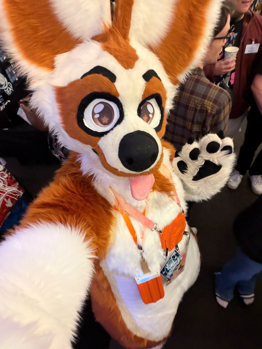 prowo808's tweet photo. Toby made it to Furpoc!!

Wait… where’s the flannel? The ripped jeans?!? What’s happened? 👀

Fullsuit debut is happening!! Come say hai!
#FursuitFriday #FursuitEveryday #Furpocalypse https://t.co/d6dRKqrE14