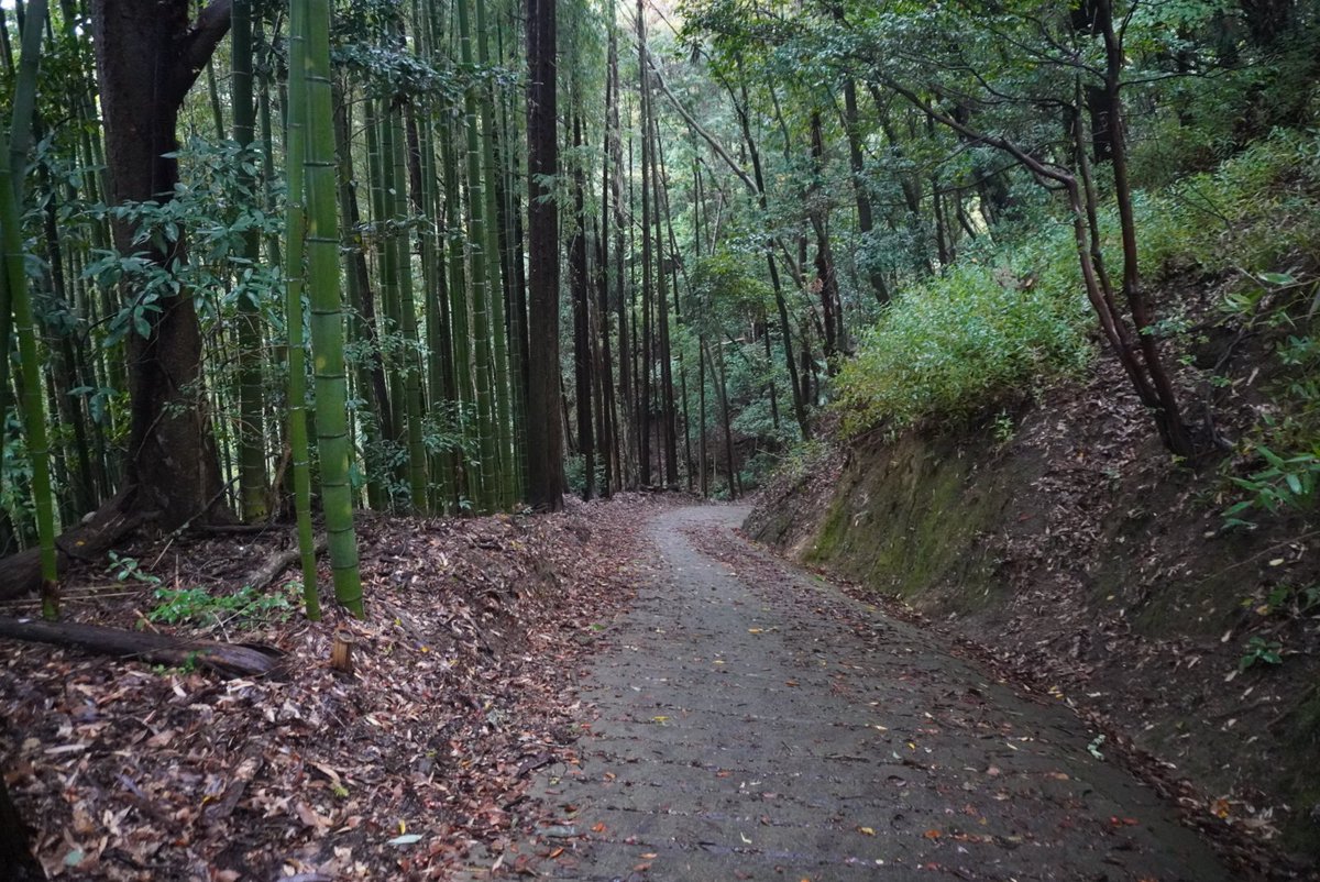 高野山まで歩こう！（新） (@jQKnW3Lg7A85650) / Posts / X