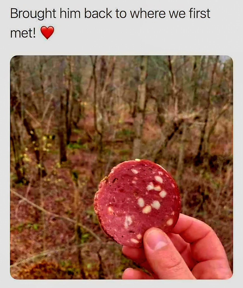 PunchyPanda (@pudgytrashpanda) on Twitter photo 