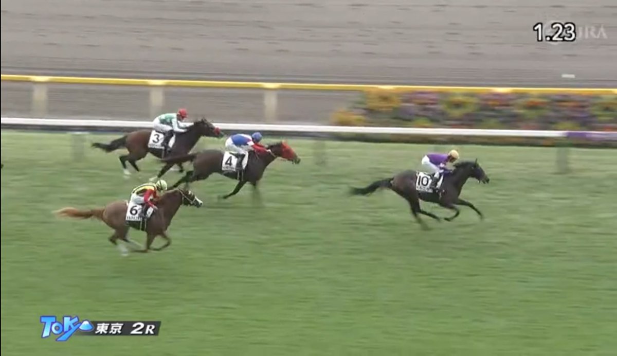 青銅の鹿　つがい(雄) 青銅の鹿 つがい(雄)