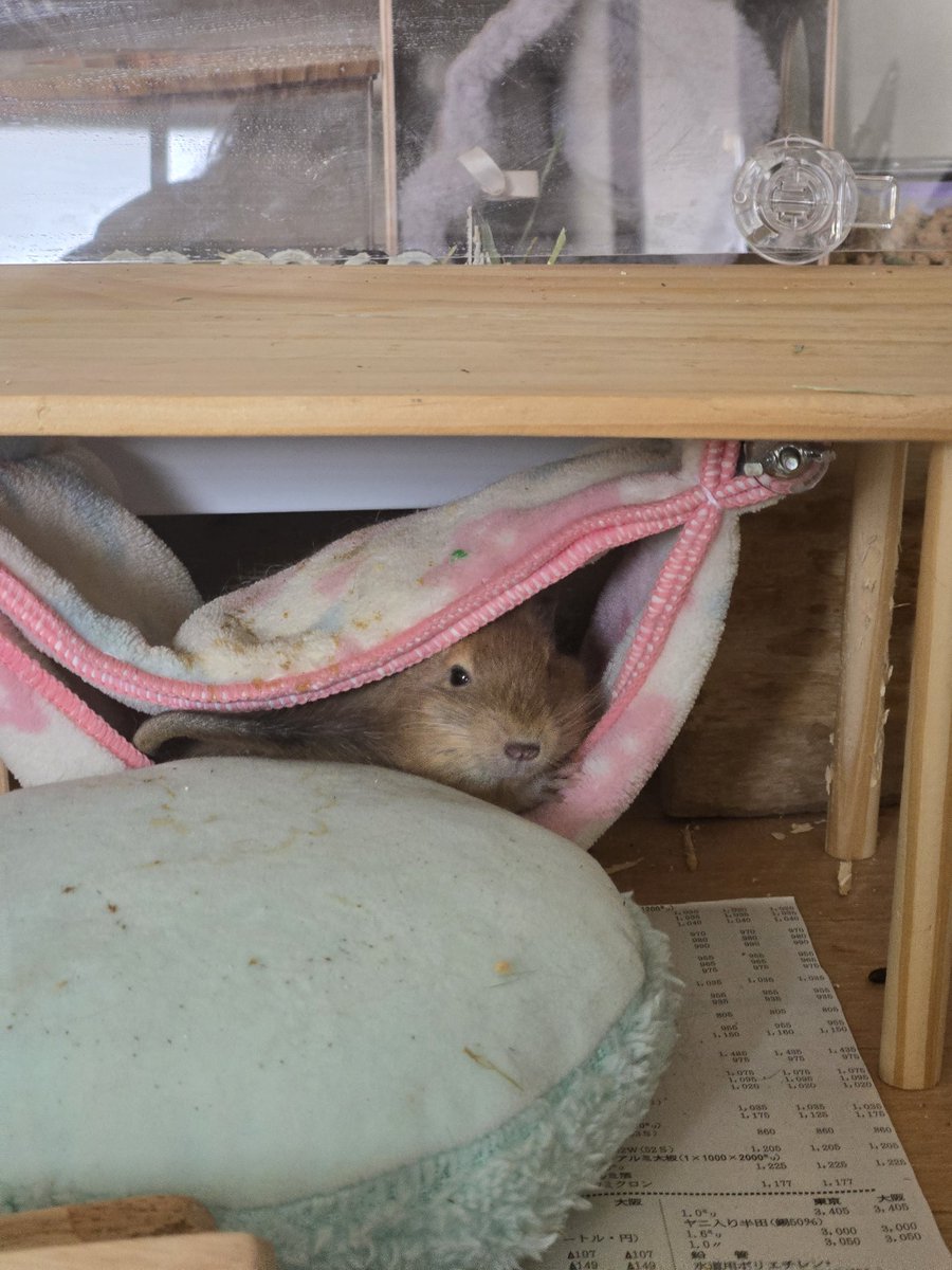 下の方が暖かいと知った模様