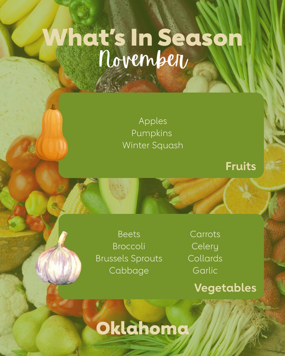 This November, we're grateful for all the fresh and in-season fruits and vegetables on our plates! 🎃🥬
