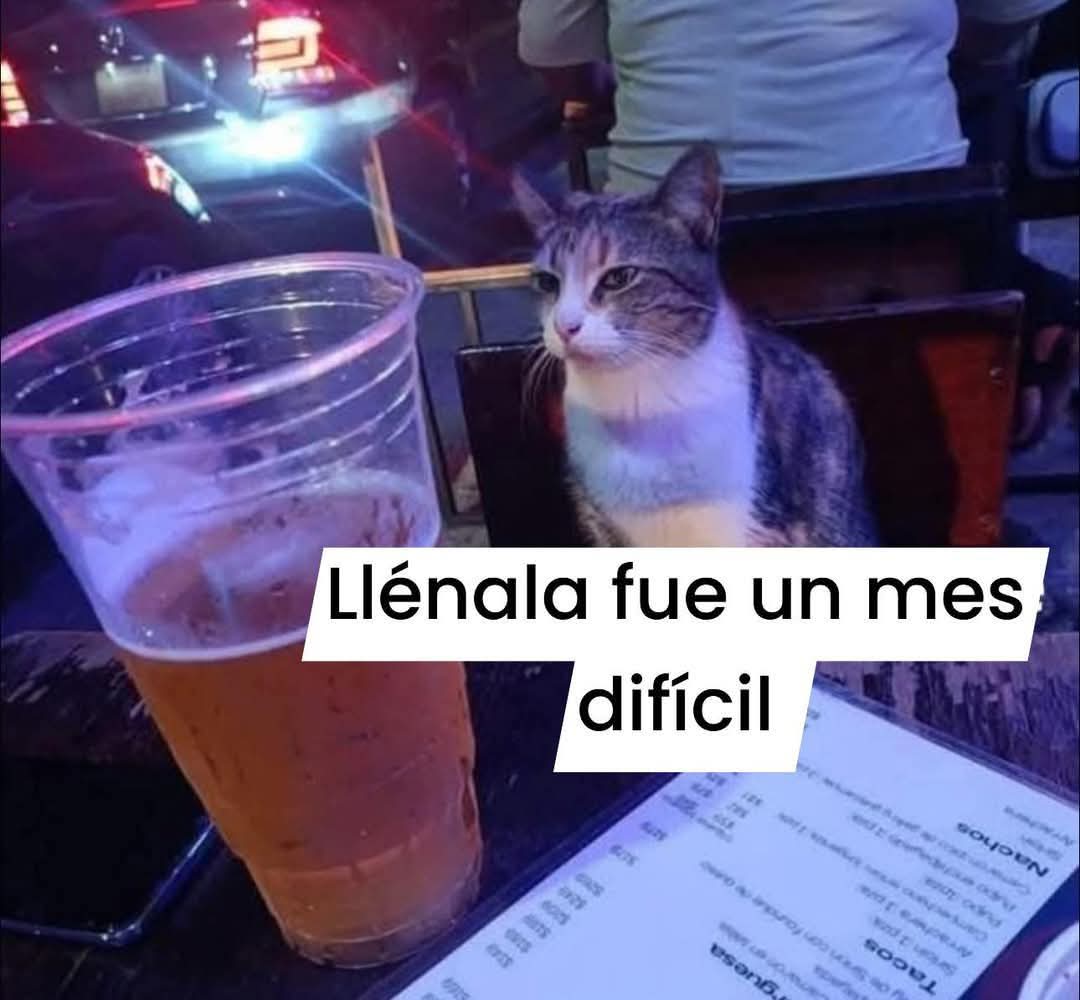Pensamientos tweet media