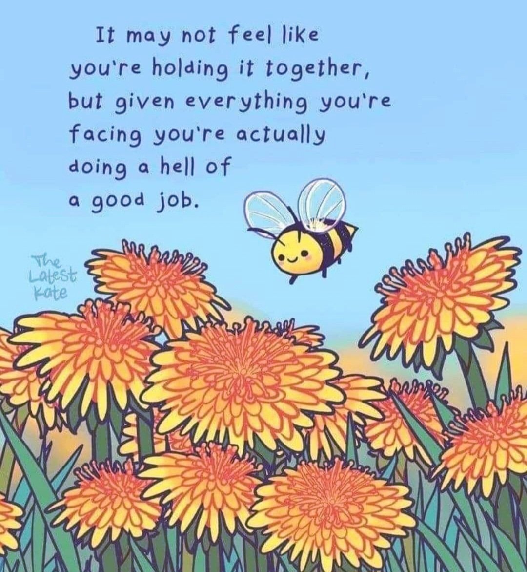 Monica 🌊🌻💙🏳️‍🌈 (@softtail65) on Twitter photo 