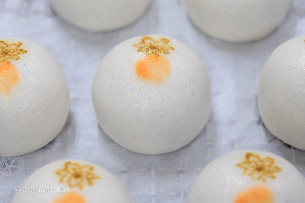 まんじゅうです サクラモチ ☺︎ on X