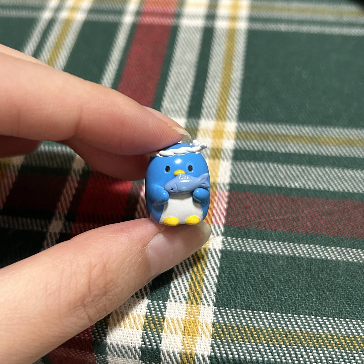 10/5 チップ🎂ちゃむまろ (@ZZw75IfJp5lYZ9Z) / Posts / X