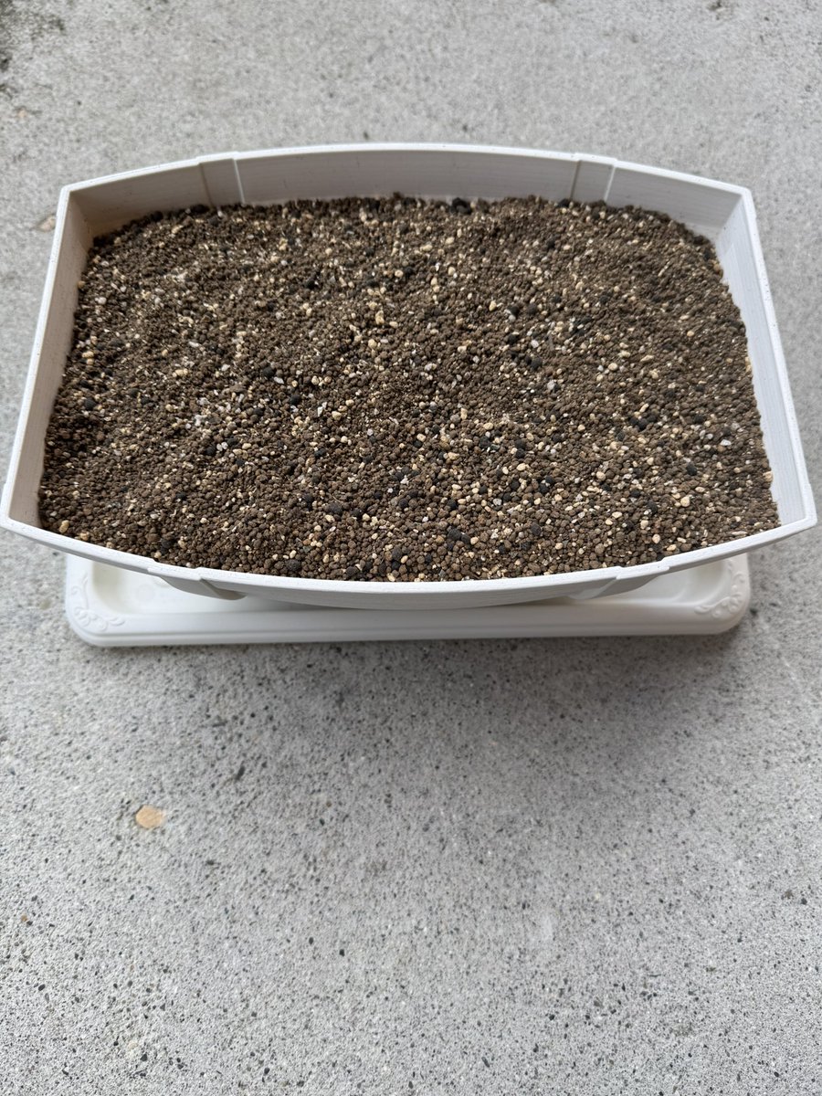 レイン tweet media