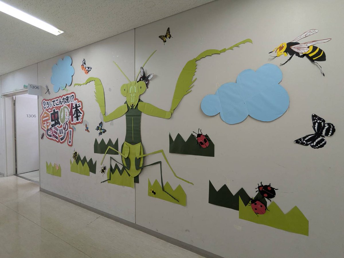 おはようございます！
学部3年です。
ついに本日から厚木キャンパス収穫祭が始まりました！
皆様に楽しんでいただけるよう、昆虫の魅力をたっぷりお伝えしてまいります！
第一講義棟1306教室にて、お待ちしております！✨