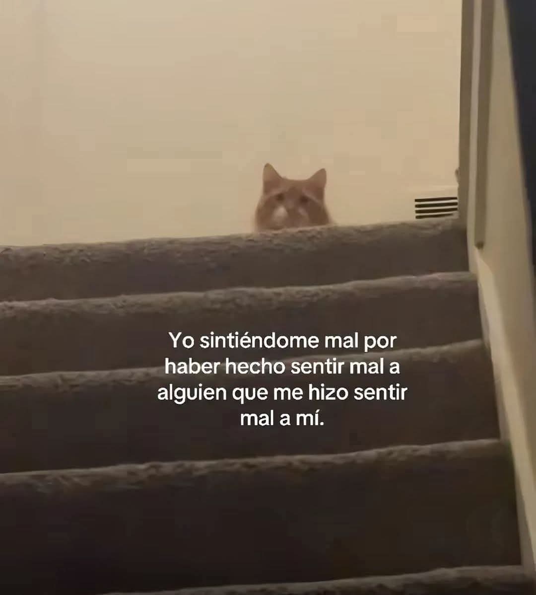 Lonely🥀 (@angelo_uf) on Twitter photo 