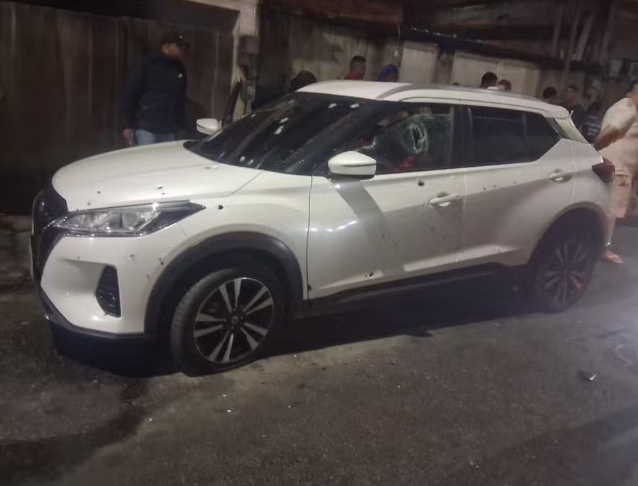 Tradutor de Direita tweet media