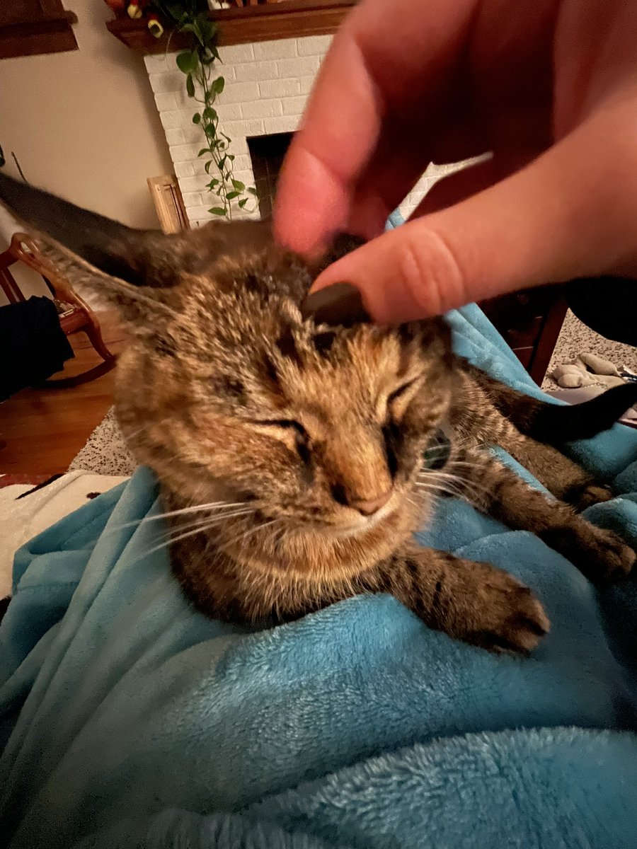 Not interested in watching The Thing (1982)