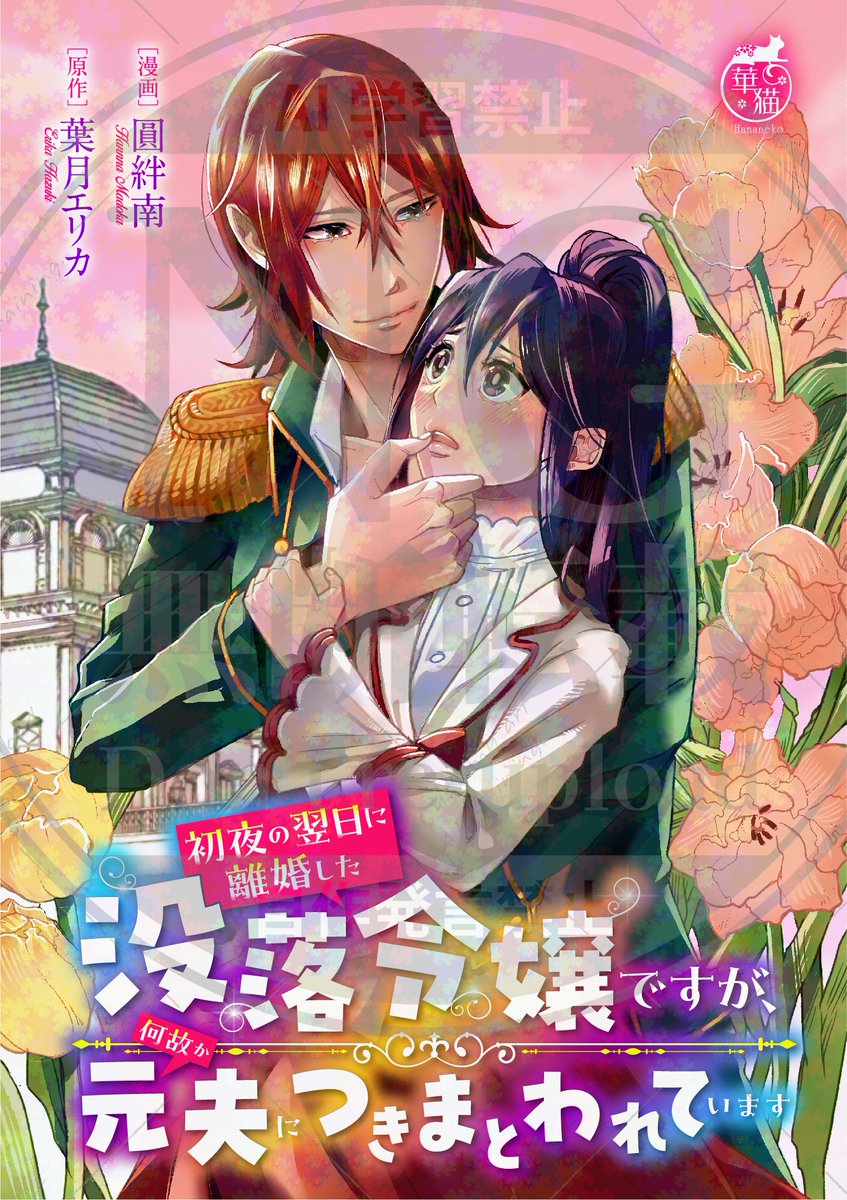 華猫＆飴猫 (@hananeko202181) / Posts / X