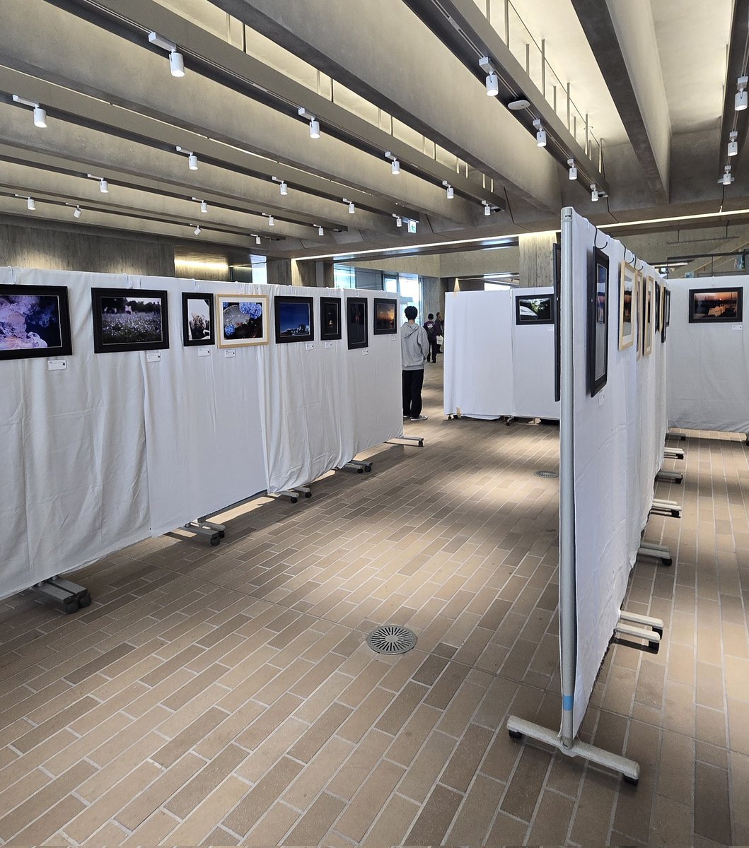 shagilog's tweet image. 紫紺展1日目　センターフォレスト1Fのコモンズにて展示してます！ぜひお立ち寄りください！