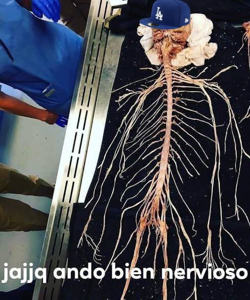 No he tuiteado nada porque soy este;